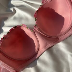 Pembe Çiçek Nakışlı İç Çamaşırı Takımı - Görsel 4